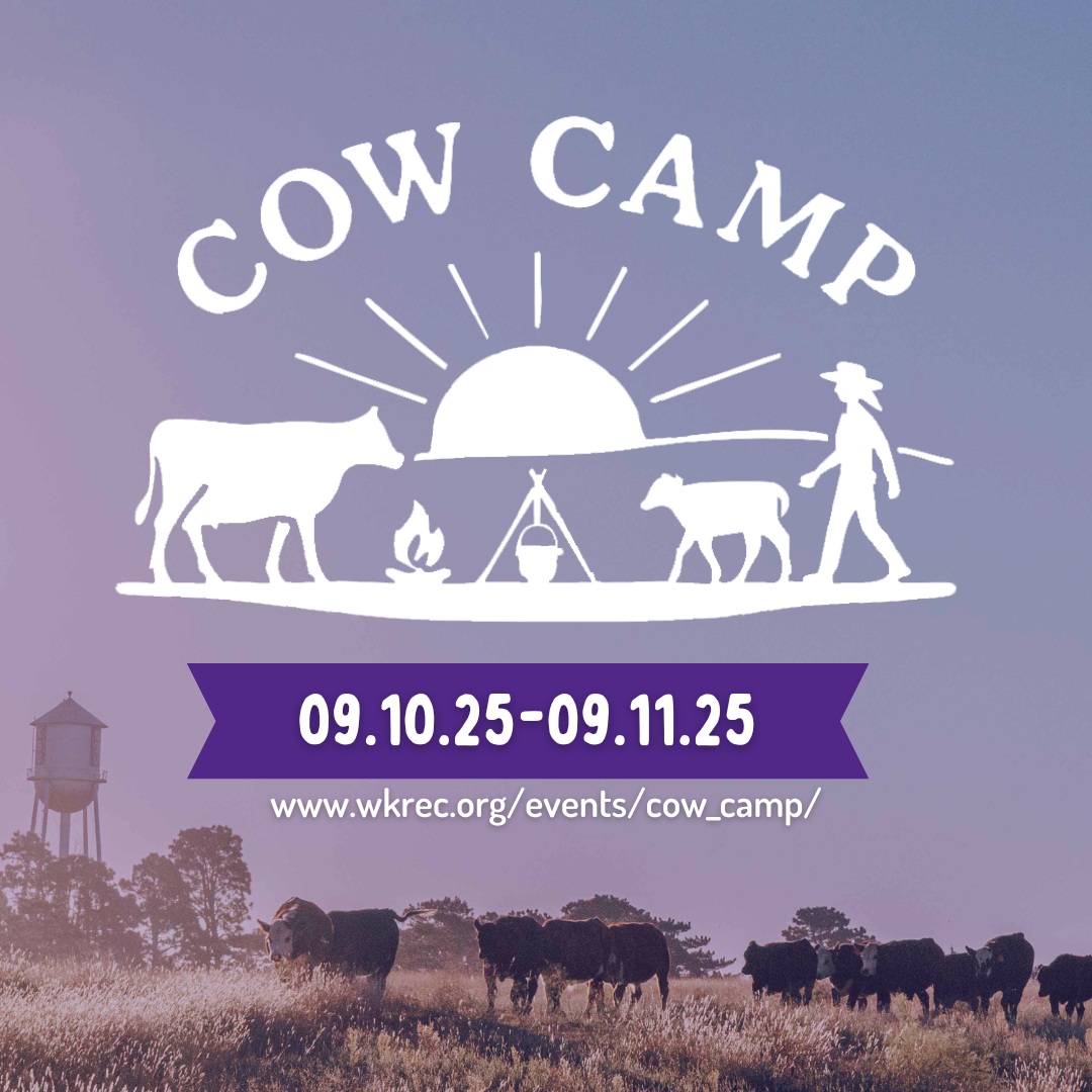 graphic of the save the date for cow camp 2025
