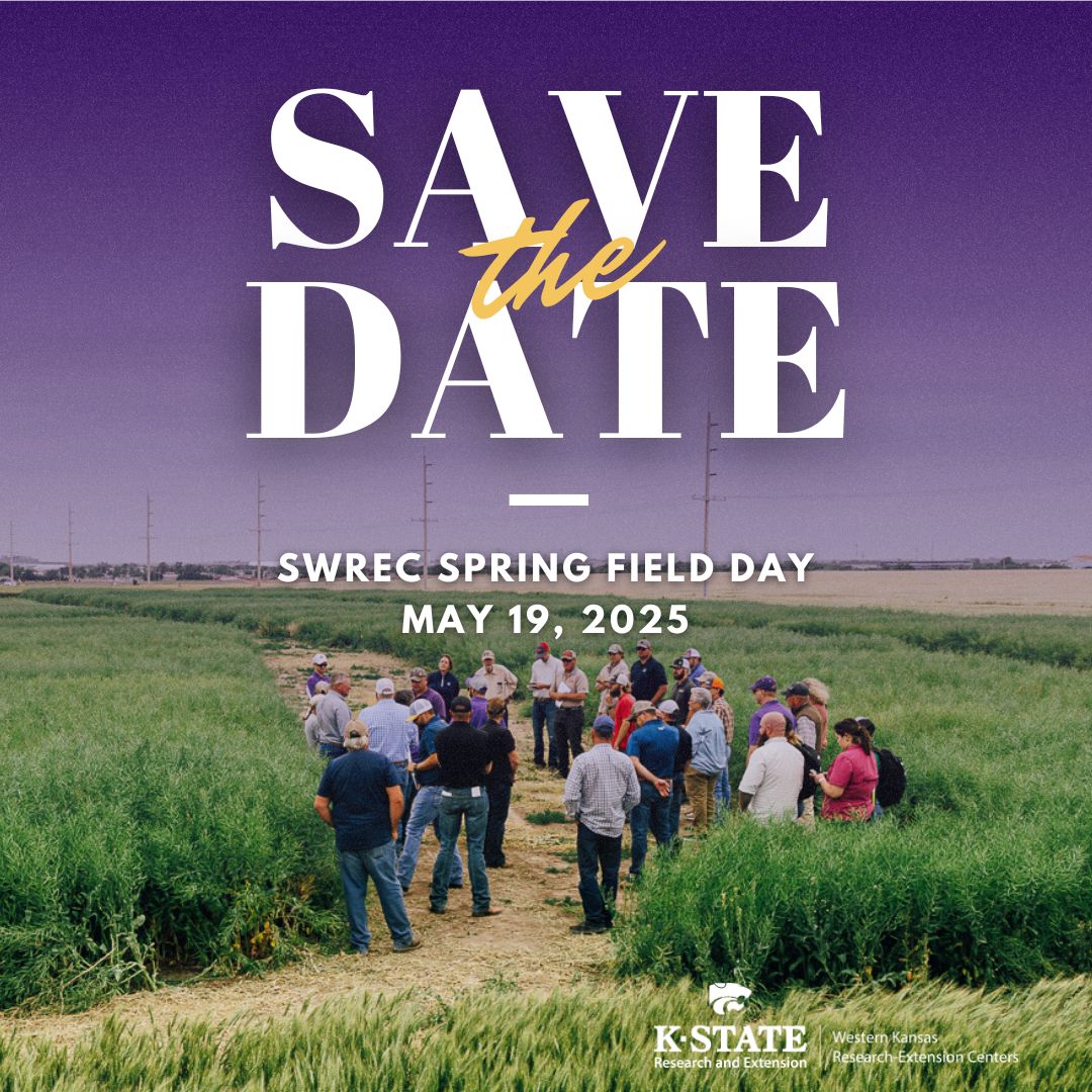 A group of people stands in a green wheat field listening to a speaker during a field day event. The sky is purple-tinted, and large white text reads, "Save the Date – SWREC Spring Field Day, May 19, 2025." The K-State Research and Extension and Western Kansas Research-Extension Centers logos are at the bottom.