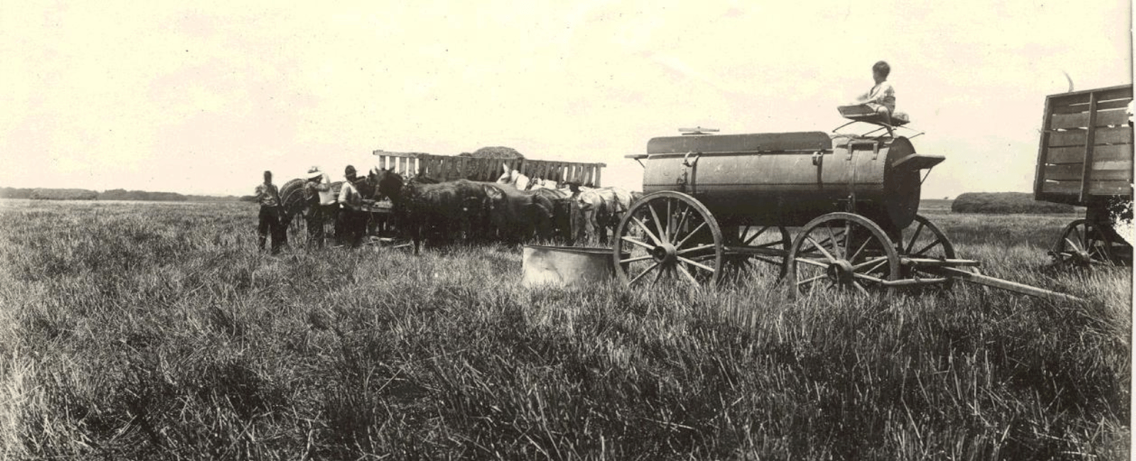 WKREC Historical Photo of teachers studying sorghum from 1917