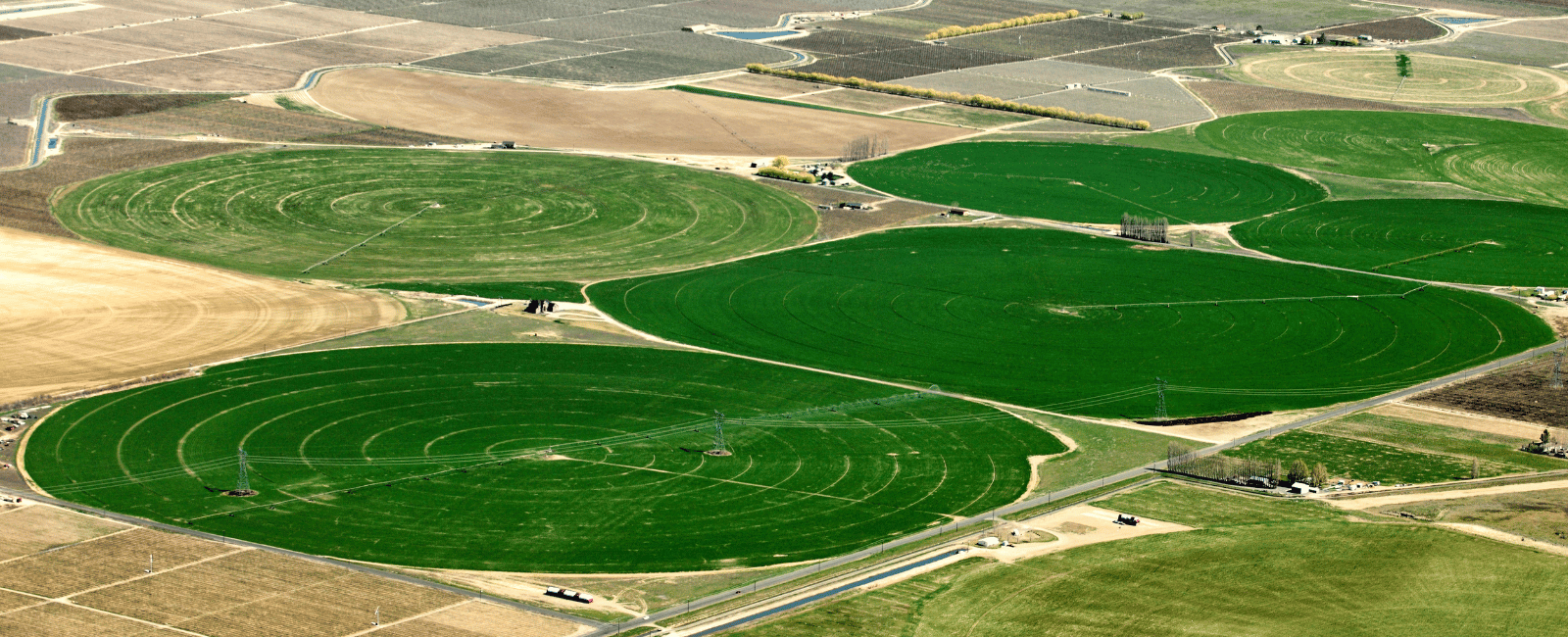 Crop pivot circles photographed from the. sky looking down at the contrast of green irrigated crop and dry brown grass