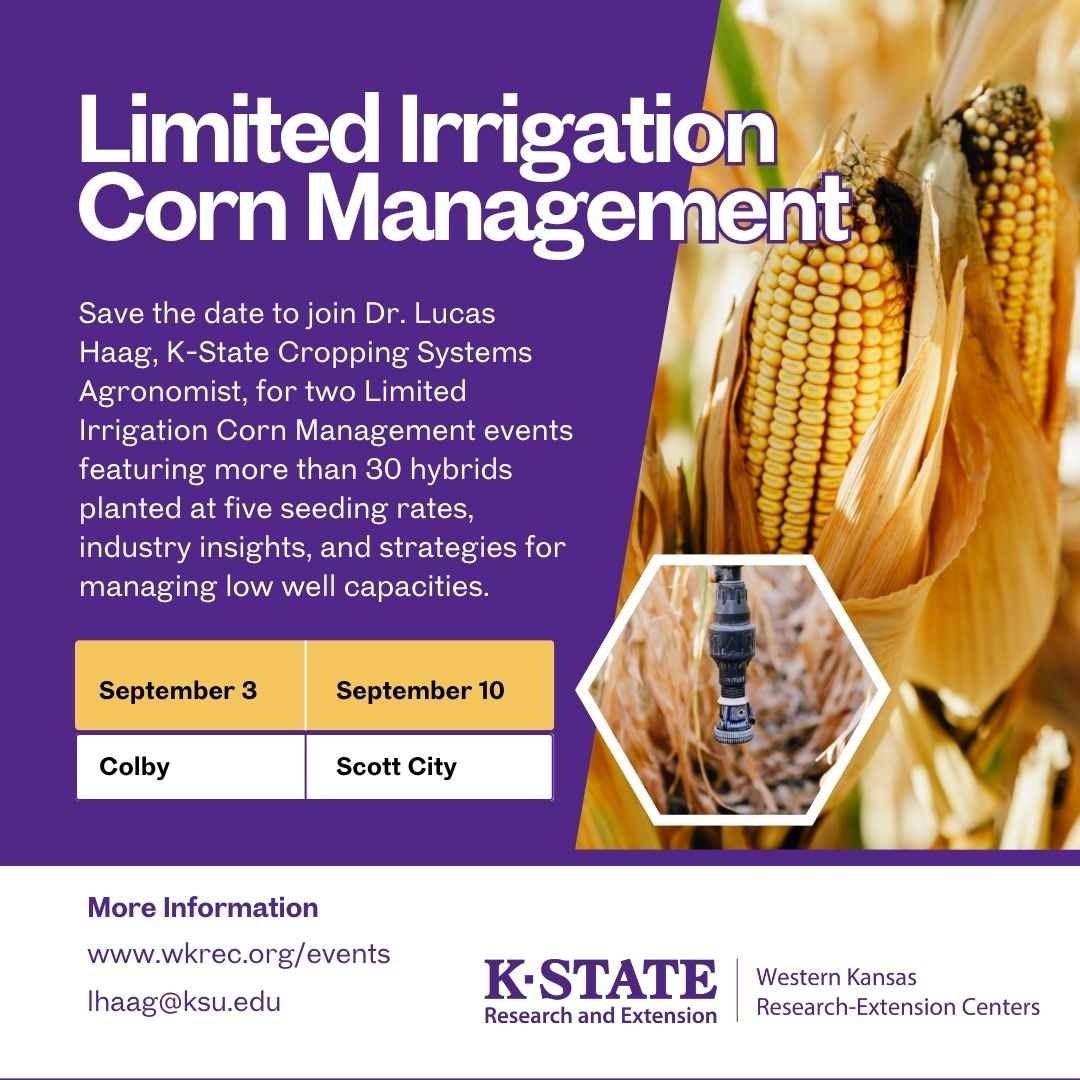 graphic for the lmited irrigation corn management field day graphic