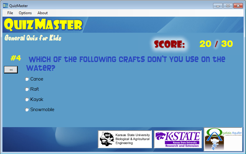 A screenshot of the user screen for the QuizMaster youth game